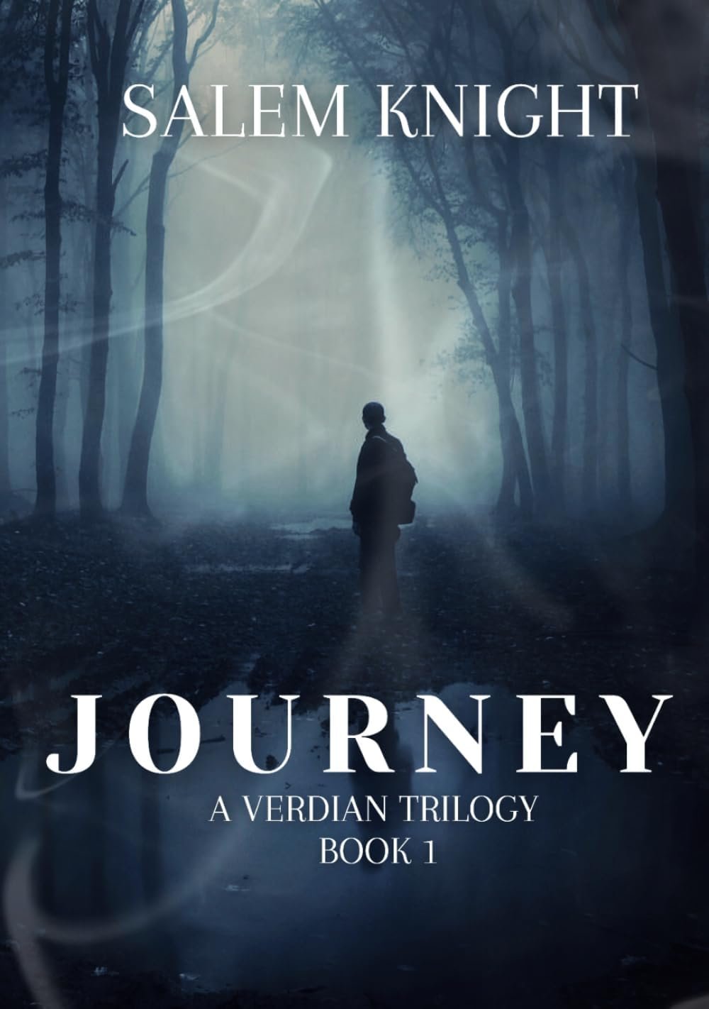 Journey: A Verdian Trilogy: Book 1 Cover